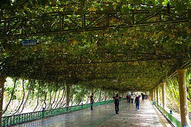 万代官方确认：《铁拳8》将参加TGA颁奖礼